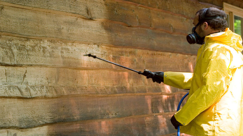 Don’t Do It Yourself: Use an Expert House Painting Service in Freehold, NJ