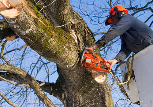 Affordable Excavation Service Sandpoint ID: Quality You Can Trust