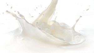 Finding the Best Dairy Products Suppliers for Your Restaurant