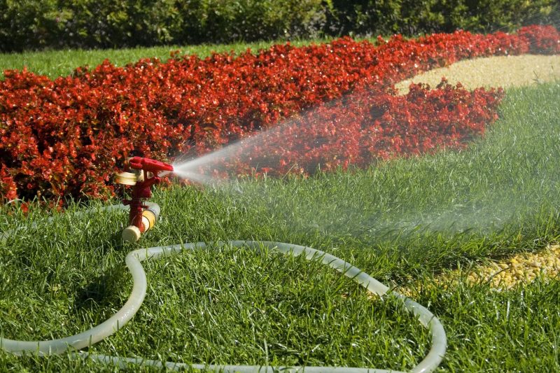 Lawn Pest Control in Flower Mound, TX, Keeps Your Lawn Healthy