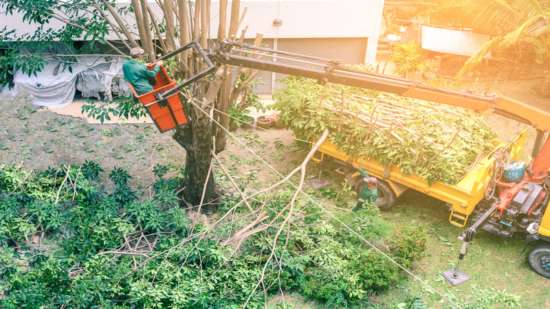 Enhance Your Landscape with Professional Tree Crane Service in Griffin, GA Solutions
