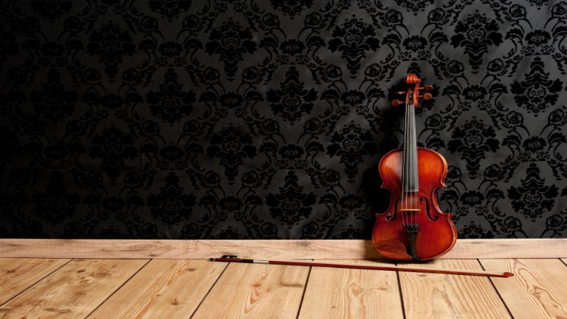 Finding a Good Violin Shop in Atlanta, GA, Saves Both Time and Money