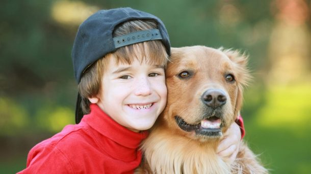 Reasons to Consider Getting Your Dog a New Subscription Box