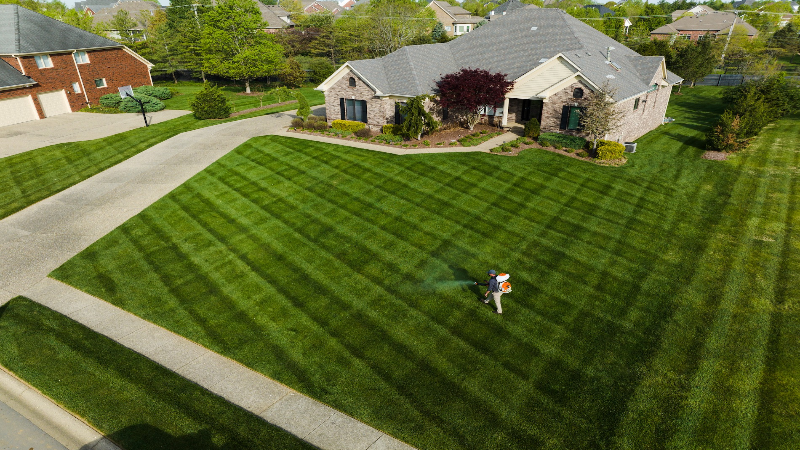 Learn How Easy It Is to Level Your Lawn