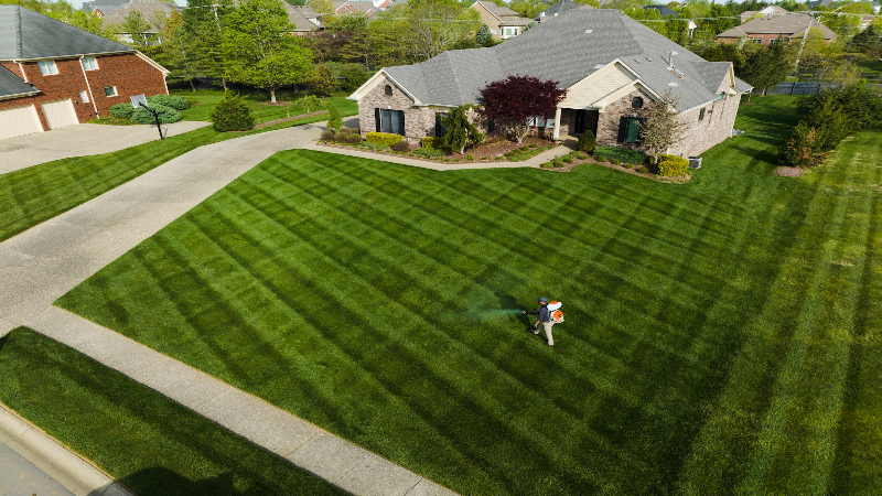Top-Notch Lawn Fertilization in Louisville, KY, Can Be Provided Regularly by the Experts