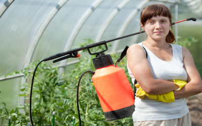 Why Choose Exterminator in Newnan GA for Your Pest Control Needs?