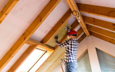 Expert Bat Removal Attic in Jackson Township NJ Services Available