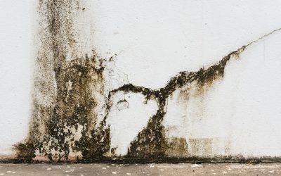 Water Damage Restoration In Coeur D’Alene ID
