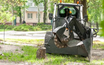 Top 5 Baler Maintenance Tips That Will Extend Your Equipment’s Life