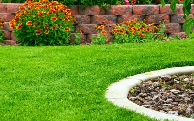 Achieve a Greener Yard When You Hire a Lawn Care Company Omaha NE Residents Recommend