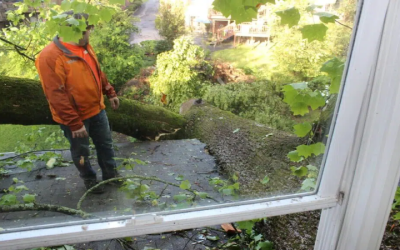 Clearing the Path to Safer Properties with Land Clearing in Atlanta, GA Solutions That Work