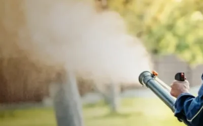 Achieve a Healthier Lawn with Lawn Care and Maintenance Shelbyville, KY Homeowners Trust