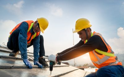 Essential Signs You Need Roof Repair Dover, DE Homeowners Should Never Ignore