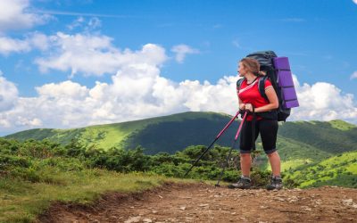 Adventure Seekers Love the Unique Wildlife of an Alaska Backcountry Adventure