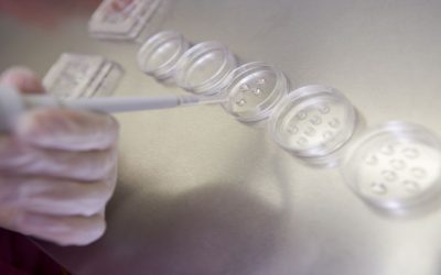 Fast, Targeted Wellness with IV Therapy in Lakewood, CO