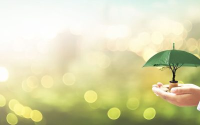 Steps to access support through the Disaster Relief Fund in India for affected families