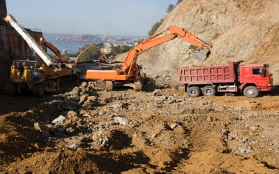 What Residents Should Know When Selecting Mulch Companies Near Sussex, WI