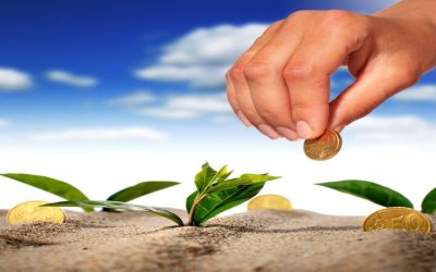 The Essential Guide to Securing Financing Farm Equipment Paris IL for Local Farmers