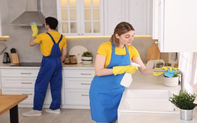 Create a Sparkling Sanctuary with House Cleaning Services In Colorado Springs, CO, Today