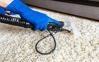 Elevate Your Home’s Cleanliness with Professional Carpet Cleaning Near Oregon, WI