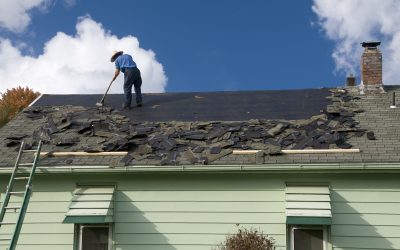 Enjoy a Cleaner Safer Property Thanks to Soft Washing Services in Cape Coral, FL Offers