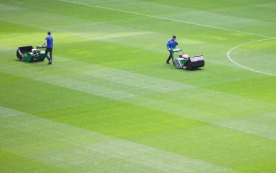 Protect Your Curb Appeal With Expert Lawn Services Charlotte NC Residents Trust